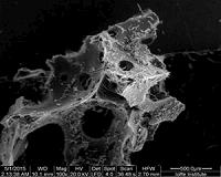 Ceramic firefighting foam becomes stronger when temperature increases