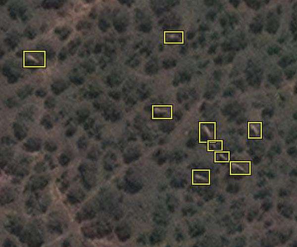Counting elephants from space