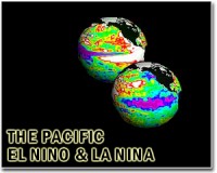 El Nino brings sharks, other marine life to California coast