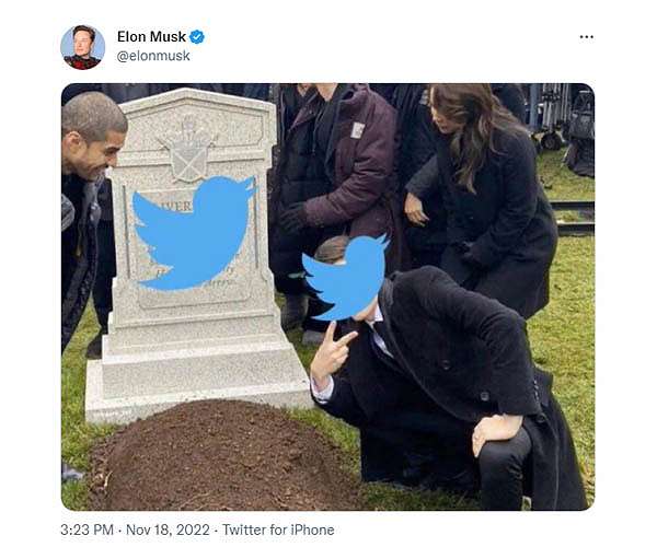 Musk says his cage fight with Zuckerberg will stream on X