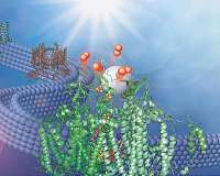 Rust and light a possible answer to the conundrum of hydrogen fuel production