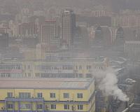 Cities need to 'green up' to reduce the impact of air pollution