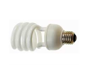 Pollution risk of CFL bulbs studied