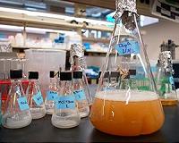Scientists use new technique to recycle plant material into stock chemicals