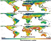 Confirming Amphibians' Ability To Predict Changes In Biodiversity