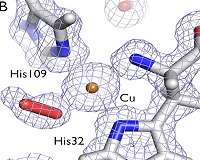 Insight into enzyme's 3-D structure could cut biofuel costs