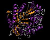 Ancient enzymes the catalysts for new discoveries