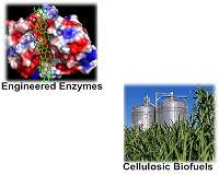 Cutting the cost of ethanol, other biofuels and gasoline