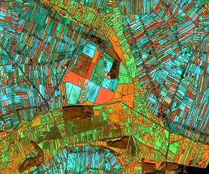 Nature valued from space