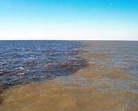 US Rush To Produce Corn-Based Ethanol Will Worsen Dead Zone In Gulf Of Mexico