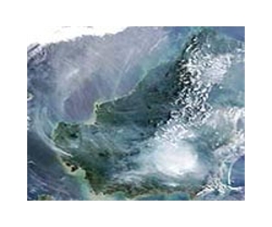 Coal rush ravages Indonesian Borneo