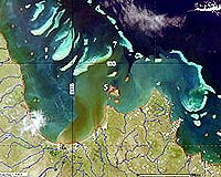 Australia pledges millions for Great Barrier Reef