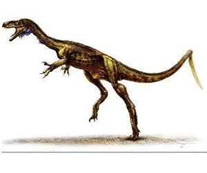 New Montana State research sheds light on South Pole dinosaurs