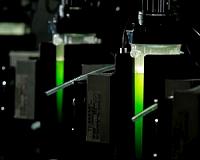 MSU advances algae's viability as a biofuel