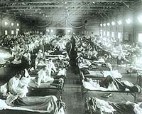 Analysis: Flu pandemic would overwhelm