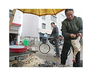 Death toll from contagious disease in China doubles in March