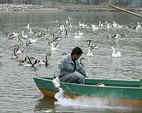 China seeks laws to protect polluted lakes: state media