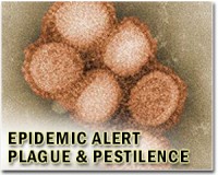 China reports first death from mystery pneumonia outbreak