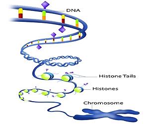 Deep Genomics