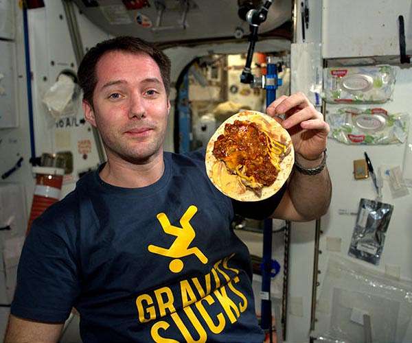 Food aromas study sheds light on taste issues in space