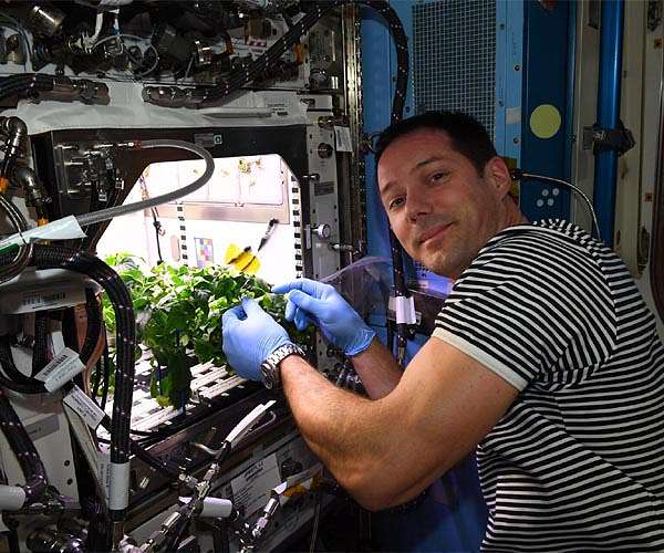 Wanted: recycling methods to keep astronauts alive