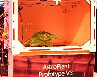 Planting oxygen ensures a breath of fresh air