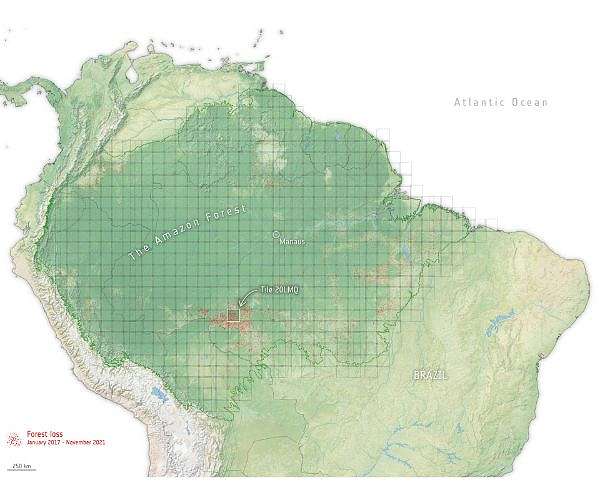 ESA releases record breaking forest carbon dataset spanning 15 years