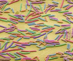 New bacteria resistant materials discovered