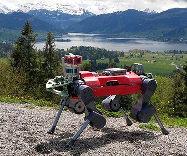 How robots learn to hike
