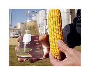 Farm And Food Industry Groups Oppose EPA Decision On Corn-Based Ethanol