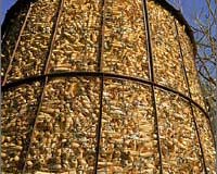 New Biomass Technology Increases Ethanol Yield
