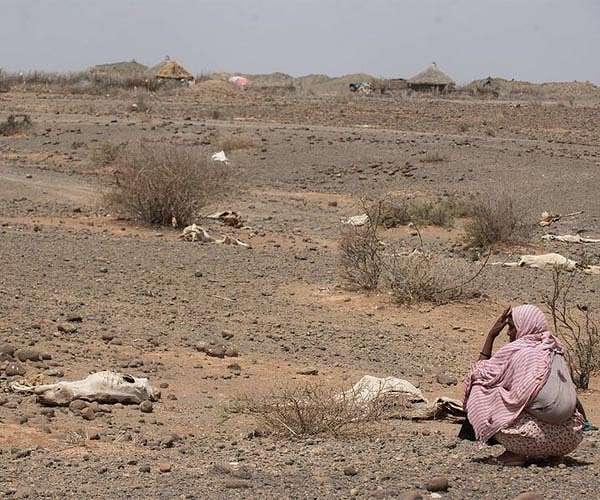 258 million needed urgent food aid in 2022: UN