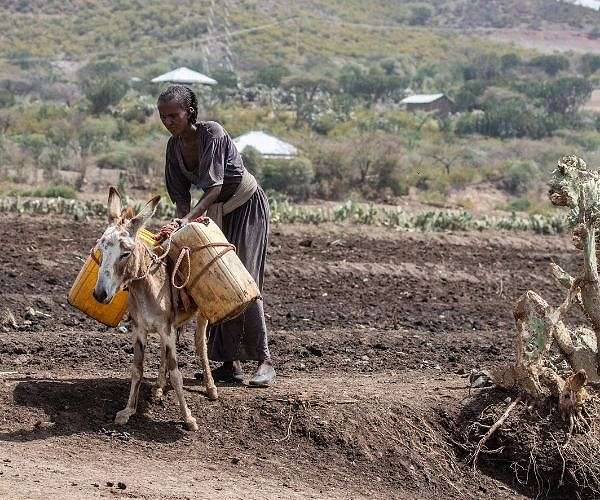 Calm returns to Ethiopian region hit by protests