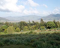 Ethiopia's 'green famine' takes its toll
