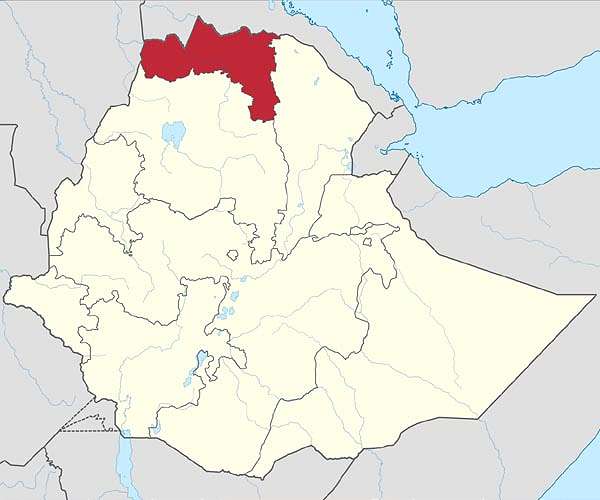 WHO chief denies Ethiopia's claims he backs dissident region