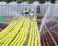 Signature campaign in Italy against genetic engineering