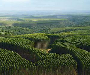 Carbon farming schemes should consider multiple cobenefits