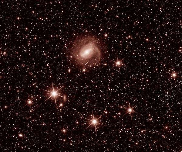 Euclid space telescope unveils new images of the cosmos