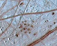Searching For Life On Icy Worlds