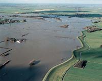 Netherlands to simulate massive flood rescue