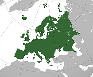 Europeans must cooperate on defense: EDA