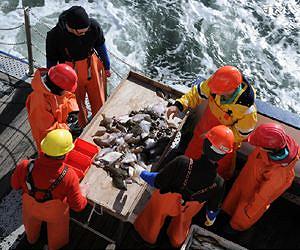 A shortcut to sustainable fisheries