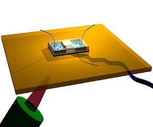 Molecules pass through nanotubes at size-dependent speeds