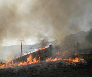 Wildfires can burn hot without ruining soil