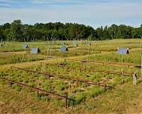 Biodiversity rescues biodiversity in a warmer world