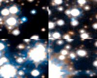 The fading cinders of some of our galaxy's earliest homesteaders