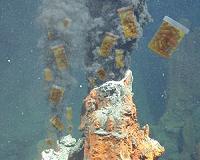 Life's extremists may be an untapped source of antibacterial drugs