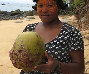 Deep history of coconuts decoded