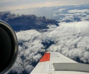 Expert warns against 'experimenting' with flights in ashw/