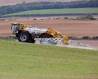 Pesticides affect bumblebee genes; scientists call for stricter regulations